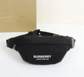 Picture of Burberry Handbags _SKUfw236853142fw